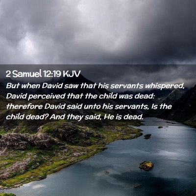 Picture 02 - 2 Samuel 12:19 KJV - But when David saw that his servants whispered, - Bible Verse Picture