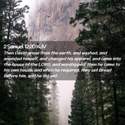 Picture 02 - 2 Samuel 12:20 KJV - Then David arose from the earth, and washed, and - Bible Verse Picture