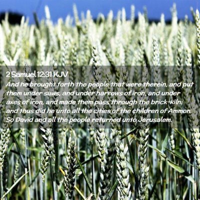 Picture 02 - 2 Samuel 12:31 KJV - And he brought forth the people that were - Bible Verse Picture