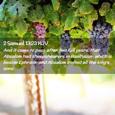 Picture 02 - 2 Samuel 13:23 KJV - And it came to pass after two full years, that - Bible Verse Picture