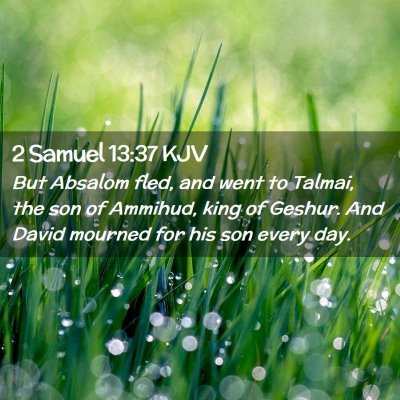 Picture 02 - 2 Samuel 13:37 KJV - But Absalom fled, and went to Talmai, the son of - Bible Verse Picture