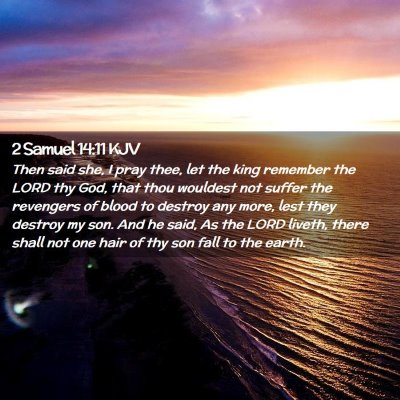 Picture 02 - 2 Samuel 14:11 KJV - Then said she, I pray thee, let the king remember - Bible Verse Picture