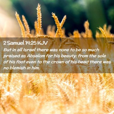 Picture 02 - 2 Samuel 14:25 KJV - But in all Israel there was none to be so much - Bible Verse Picture