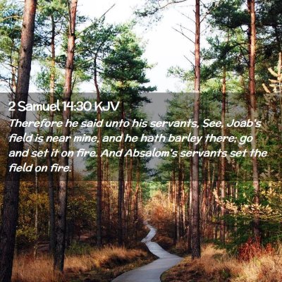 Picture 02 - 2 Samuel 14:30 KJV - Therefore he said unto his servants, See, Joab's - Bible Verse Picture