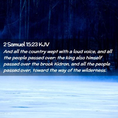Picture 02 - 2 Samuel 15:23 KJV - And all the country wept with a loud voice, and - Bible Verse Picture