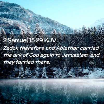 Picture 02 - 2 Samuel 15:29 KJV - Zadok therefore and Abiathar carried the ark of - Bible Verse Picture