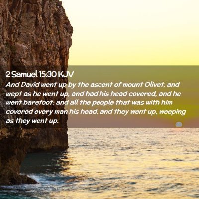 Picture 02 - 2 Samuel 15:30 KJV - And David went up by the ascent of mount Olivet, - Bible Verse Picture