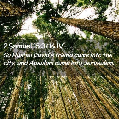 Picture 02 - 2 Samuel 15:37 KJV - So Hushai David's friend came into the city, and - Bible Verse Picture