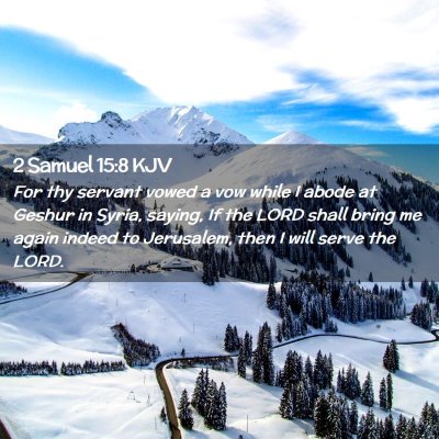 Picture 02 - 2 Samuel 15:8 KJV - For thy servant vowed a vow while I abode at - Bible Verse Picture