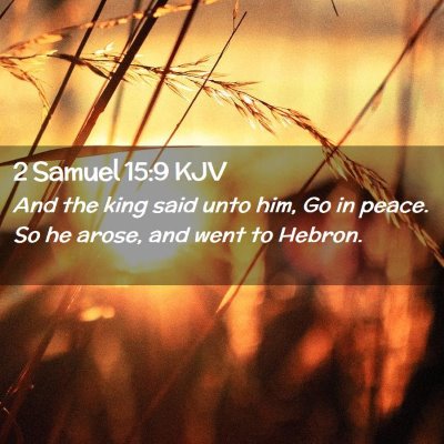 Picture 02 - 2 Samuel 15:9 KJV - And the king said unto him, Go in peace. So he - Bible Verse Picture