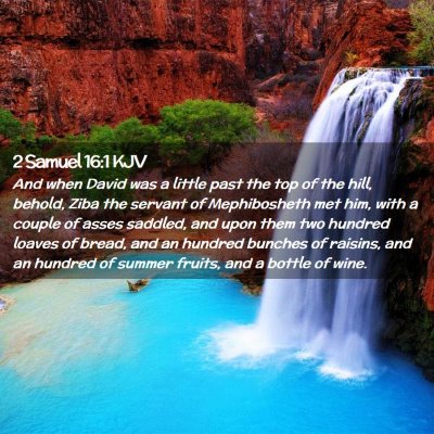 Picture 02 - 2 Samuel 16:1 KJV - And when David was a little past the top of the - Bible Verse Picture