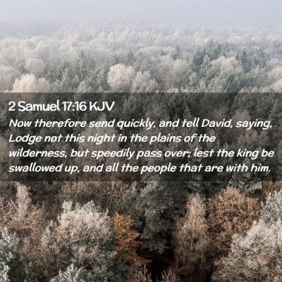 Picture 02 - 2 Samuel 17:16 KJV - Now therefore send quickly, and tell David, - Bible Verse Picture