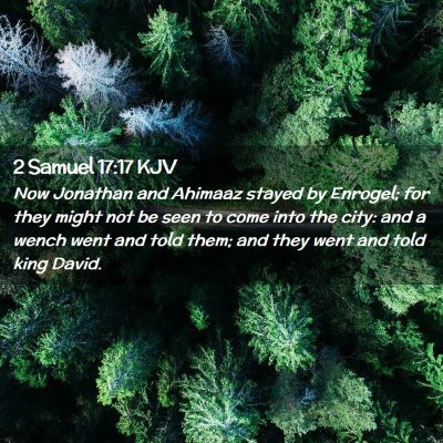 Picture 02 - 2 Samuel 17:17 KJV - Now Jonathan and Ahimaaz stayed by Enrogel; for - Bible Verse Picture