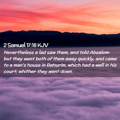 Picture 02 - 2 Samuel 17:18 KJV - Nevertheless a lad saw them, and told Absalom: - Bible Verse Picture