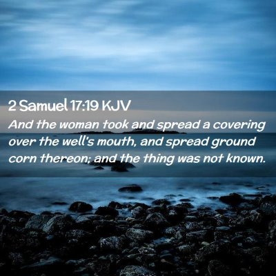 Picture 02 - 2 Samuel 17:19 KJV - And the woman took and spread a covering over the - Bible Verse Picture