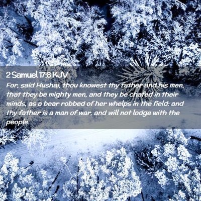 Picture 02 - 2 Samuel 17:8 KJV - For, said Hushai, thou knowest thy father and his - Bible Verse Picture
