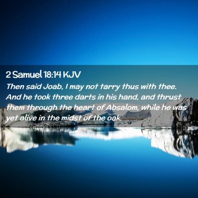 Picture 02 - 2 Samuel 18:14 KJV - Then said Joab, I may not tarry thus with thee. - Bible Verse Picture
