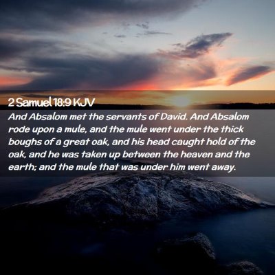 Picture 02 - 2 Samuel 18:9 KJV - And Absalom met the servants of David. And - Bible Verse Picture