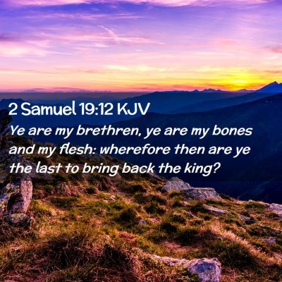 Picture 02 - 2 Samuel 19:12 KJV - Ye are my brethren, ye are my bones and my flesh: - Bible Verse Picture