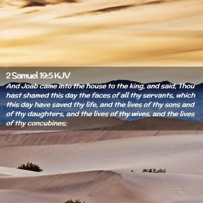 Picture 02 - 2 Samuel 19:5 KJV - And Joab came into the house to the king, and - Bible Verse Picture