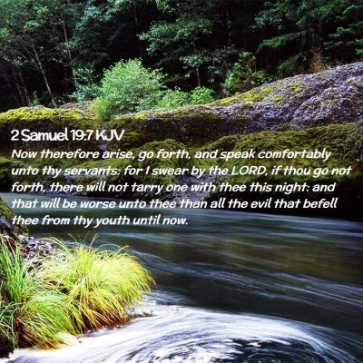 Picture 02 - 2 Samuel 19:7 KJV - Now therefore arise, go forth, and speak - Bible Verse Picture