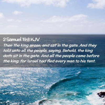 Picture 02 - 2 Samuel 19:8 KJV - Then the king arose, and sat in the gate. And - Bible Verse Picture