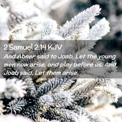 Picture 02 - 2 Samuel 2:14 KJV - And Abner said to Joab, Let the young men now - Bible Verse Picture