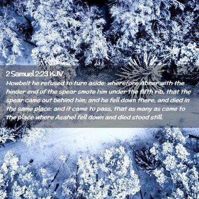 Picture 02 - 2 Samuel 2:23 KJV - Howbeit he refused to turn aside: wherefore Abner - Bible Verse Picture