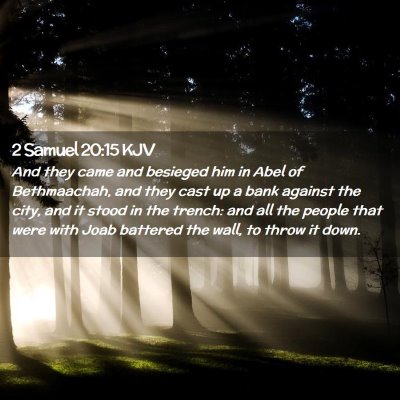 Picture 02 - 2 Samuel 20:15 KJV - And they came and besieged him in Abel of - Bible Verse Picture