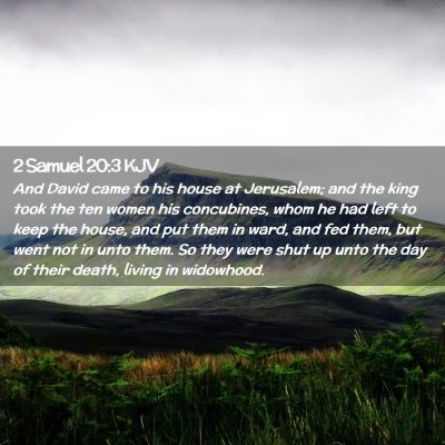 Picture 02 - 2 Samuel 20:3 KJV - And David came to his house at Jerusalem; and the - Bible Verse Picture