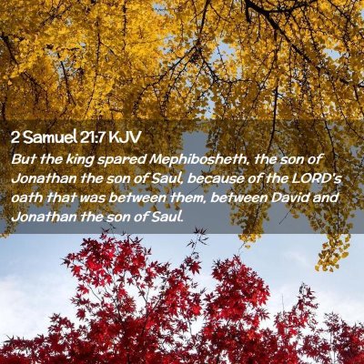 Picture 02 - 2 Samuel 21:7 KJV - But the king spared Mephibosheth, the son of - Bible Verse Picture