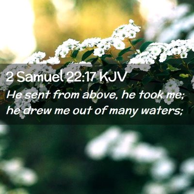 Picture 02 - 2 Samuel 22:17 KJV - He sent from above, he took me; he drew me out of - Bible Verse Picture