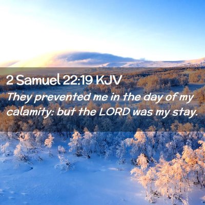 Picture 02 - 2 Samuel 22:19 KJV - They prevented me in the day of my calamity: but - Bible Verse Picture