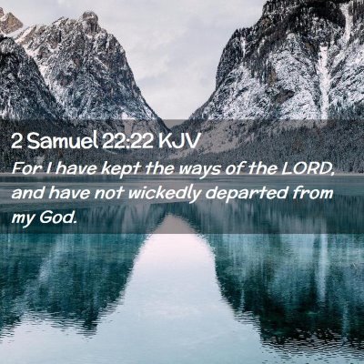 Picture 02 - 2 Samuel 22:22 KJV - For I have kept the ways of the LORD, and have - Bible Verse Picture
