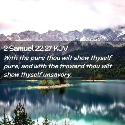 Picture 02 - 2 Samuel 22:27 KJV - With the pure thou wilt show thyself pure; and - Bible Verse Picture