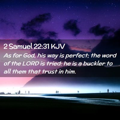 Picture 02 - 2 Samuel 22:31 KJV - As for God, his way is perfect; the word of the - Bible Verse Picture