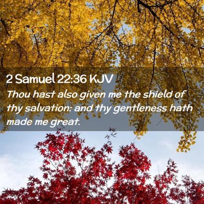 Picture 02 - 2 Samuel 22:36 KJV - Thou hast also given me the shield of thy - Bible Verse Picture