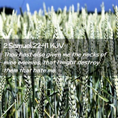 Picture 02 - 2 Samuel 22:41 KJV - Thou hast also given me the necks of mine - Bible Verse Picture