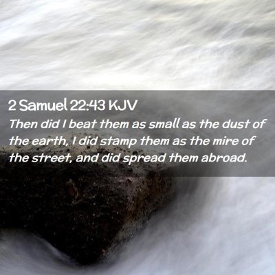 Picture 02 - 2 Samuel 22:43 KJV - Then did I beat them as small as the dust of the - Bible Verse Picture