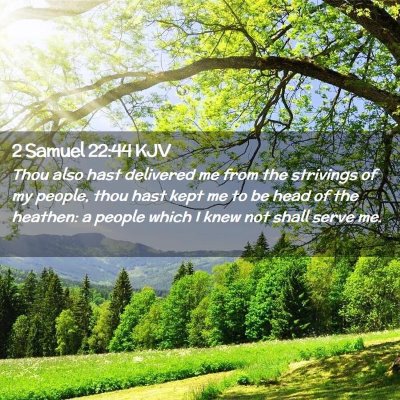Picture 02 - 2 Samuel 22:44 KJV - Thou also hast delivered me from the strivings of - Bible Verse Picture