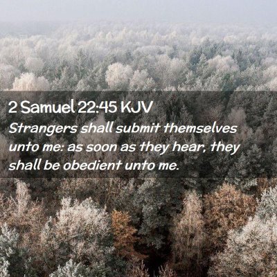 Picture 02 - 2 Samuel 22:45 KJV - Strangers shall submit themselves unto me: as - Bible Verse Picture