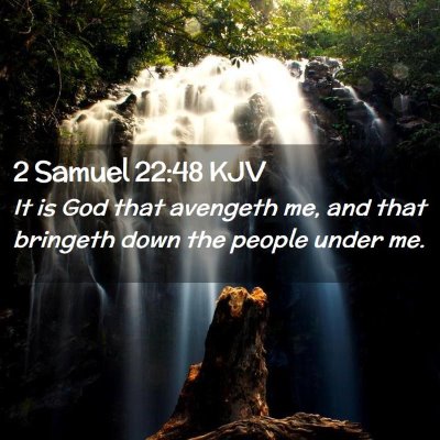 Picture 02 - 2 Samuel 22:48 KJV - It is God that avengeth me, and that bringeth - Bible Verse Picture