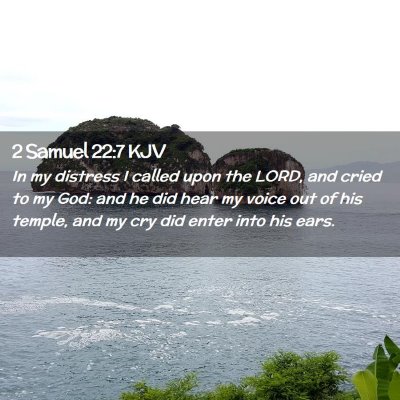 Picture 02 - 2 Samuel 22:7 KJV - In my distress I called upon the LORD, and cried - Bible Verse Picture