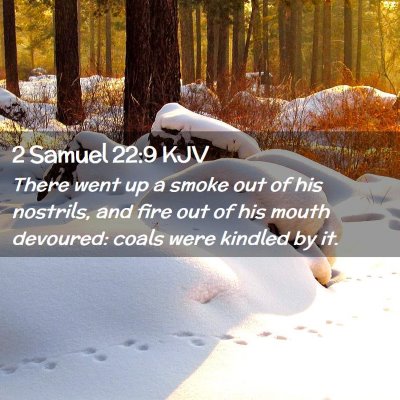 Picture 02 - 2 Samuel 22:9 KJV - There went up a smoke out of his nostrils, and - Bible Verse Picture