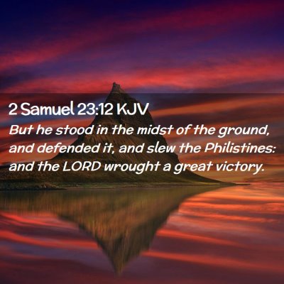 Picture 02 - 2 Samuel 23:12 KJV - But he stood in the midst of the ground, and - Bible Verse Picture