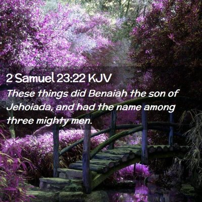Picture 02 - 2 Samuel 23:22 KJV - These things did Benaiah the son of Jehoiada, and - Bible Verse Picture