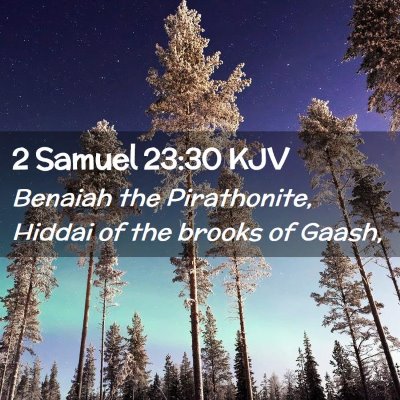 Picture 02 - 2 Samuel 23:30 KJV - Benaiah the Pirathonite, Hiddai of the brooks of - Bible Verse Picture