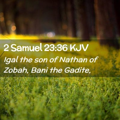 Picture 02 - 2 Samuel 23:36 KJV - Igal the son of Nathan of Zobah, Bani the - Bible Verse Picture