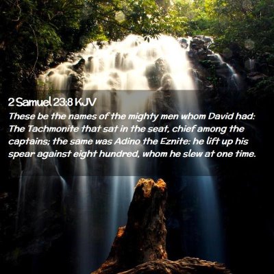 Picture 02 - 2 Samuel 23:8 KJV - These be the names of the mighty men whom David - Bible Verse Picture