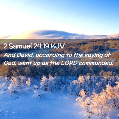 Picture 02 - 2 Samuel 24:19 KJV - And David, according to the saying of Gad, went - Bible Verse Picture